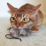 Purrs Mouse ClipOn - Fits PurrSuit, Frenzy & DaBird Rods